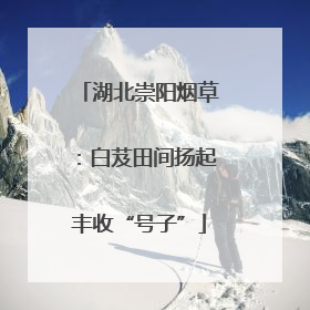湖北崇阳烟草：白芨田间扬起丰收“号子”