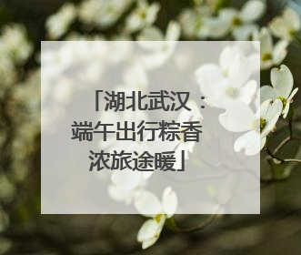 湖北武汉：端午出行粽香浓旅途暖
