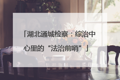 湖北通城检察：综治中心里的“法治前哨”