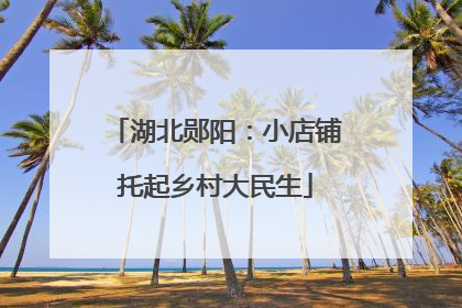 湖北郧阳：小店铺托起乡村大民生