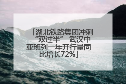 湖北铁路集团冲刺“双过半” 武汉中亚班列一年开行量同比增长72%