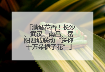 满城花香！长沙、武汉、南昌、岳阳四城联动“送你十万朵栀子花”