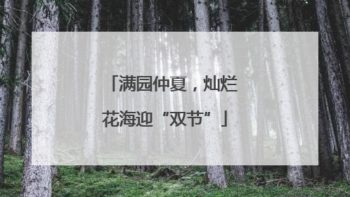 满园仲夏，灿烂花海迎“双节”