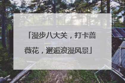 漫步八大关，打卡蔷薇花，邂逅浪漫风景