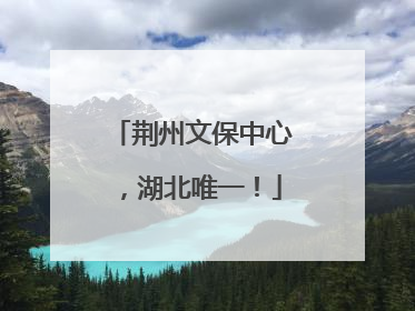 荆州文保中心，湖北唯一！