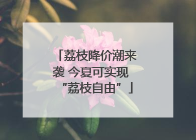 荔枝降价潮来袭 今夏可实现“荔枝自由”