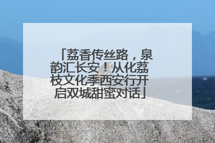 荔香传丝路，泉韵汇长安！从化荔枝文化季西安行开启双城甜蜜对话