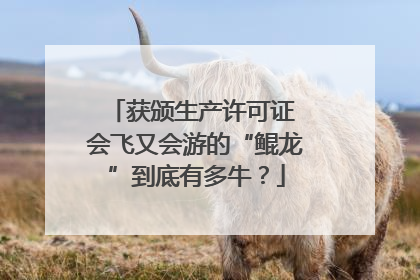 获颁生产许可证 会飞又会游的“鲲龙”到底有多牛？