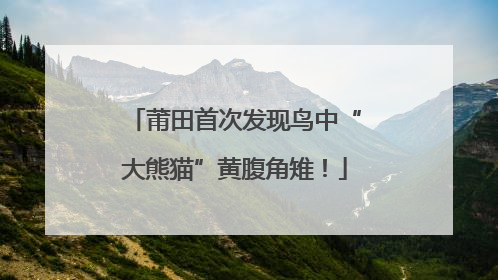 莆田首次发现鸟中“大熊猫”黄腹角雉！