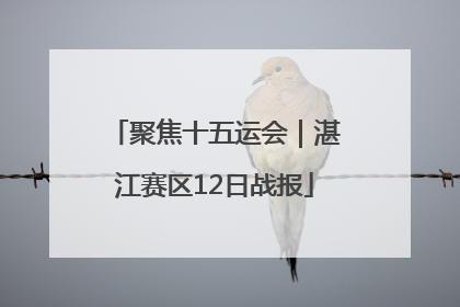 聚焦十五运会｜湛江赛区12日战报