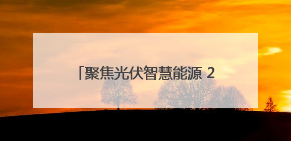 聚焦光伏智慧能源 2025上海光伏展举行