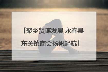 聚乡贤谋发展 永春县东关镇商会扬帆起航