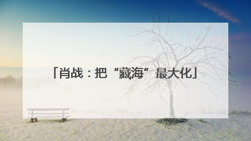 肖战：把“藏海”最大化