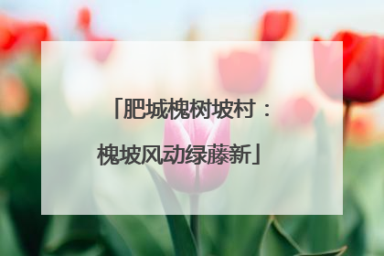 肥城槐树坡村：槐坡风动绿藤新