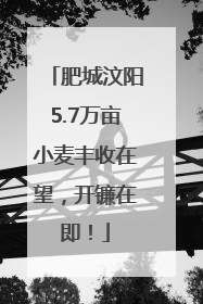 肥城汶阳5.7万亩小麦丰收在望，开镰在即！