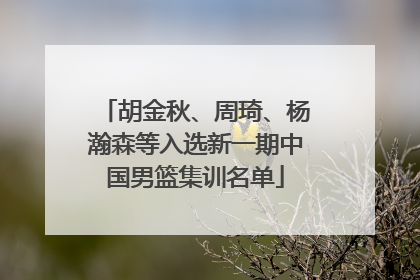 胡金秋、周琦、杨瀚森等入选新一期中国男篮集训名单