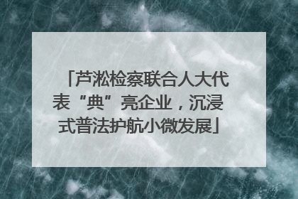 芦淞检察联合人大代表“典”亮企业，沉浸式普法护航小微发展