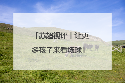 苏超视评︱让更多孩子来看场球