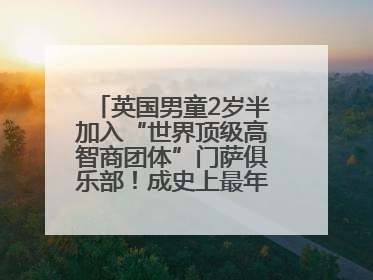 英国男童2岁半加入“世界顶级高智商团体”门萨俱乐部！成史上最年轻男性会员