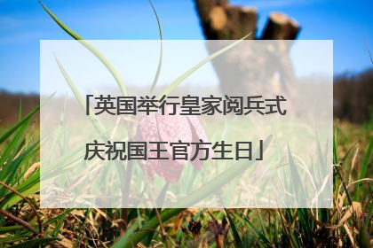英国举行皇家阅兵式庆祝国王官方生日
