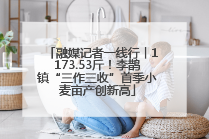 融媒记者一线行丨1173.53斤！李鹊镇“三作三收”首季小麦亩产创新高