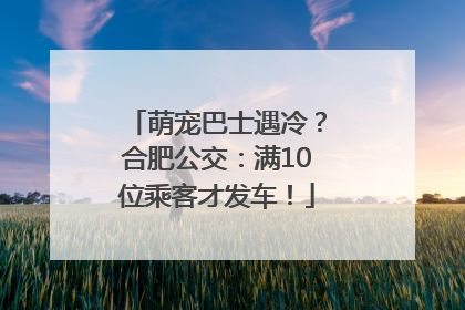 萌宠巴士遇冷？合肥公交：满10位乘客才发车！