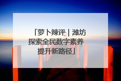 萝卜辣评｜潍坊探索全民数字素养提升新路径