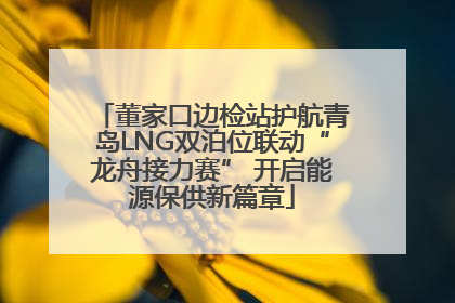 董家口边检站护航青岛LNG双泊位联动“龙舟接力赛” 开启能源保供新篇章