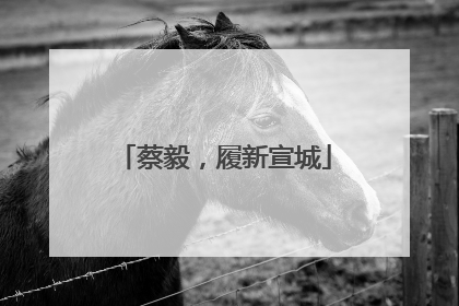 蔡毅，履新宣城