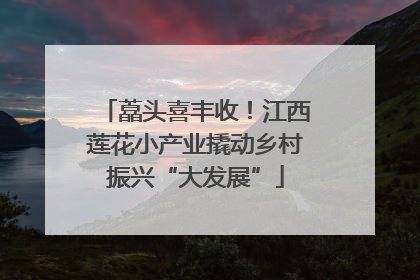藠头喜丰收！江西莲花小产业撬动乡村振兴“大发展”