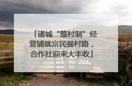 诸城“整村制”经营铺就富民强村路，合作社迎来大丰收