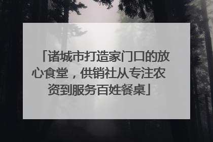 诸城市打造家门口的放心食堂，供销社从专注农资到服务百姓餐桌