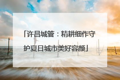 许昌城管：精耕细作守护夏日城市美好容颜