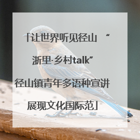 让世界听见径山 “浙里·乡村talk”径山镇青年多语种宣讲展现文化国际范