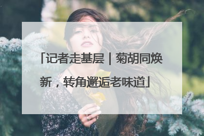 记者走基层｜菊胡同焕新，转角邂逅老味道