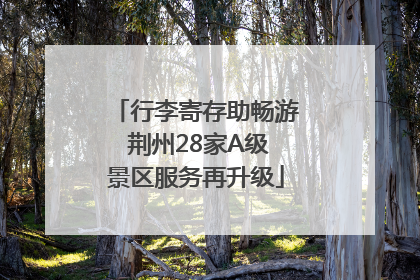 行李寄存助畅游 荆州28家A级景区服务再升级