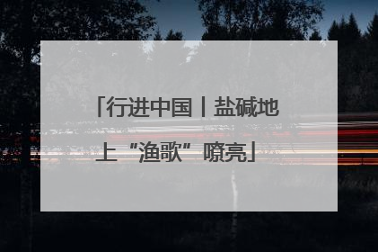 行进中国丨盐碱地上“渔歌”嘹亮