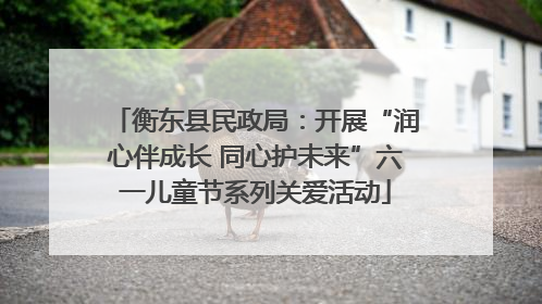 衡东县民政局：开展“润心伴成长 同心护未来”六一儿童节系列关爱活动