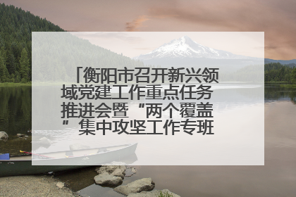 衡阳市召开新兴领域党建工作重点任务推进会暨“两个覆盖”集中攻坚工作专班 第一次会议