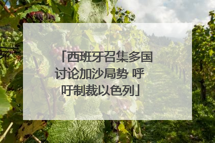 西班牙召集多国讨论加沙局势 呼吁制裁以色列