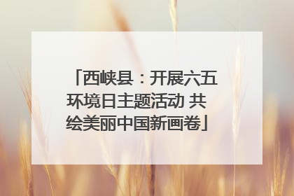 西峡县：开展六五环境日主题活动 共绘美丽中国新画卷
