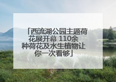西流湖公园主题荷花展开幕 110余种荷花及水生植物让你一次看够