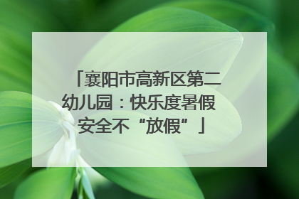 襄阳市高新区第二幼儿园：快乐度暑假 安全不“放假”