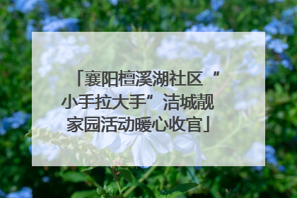 襄阳檀溪湖社区“小手拉大手”洁城靓家园活动暖心收官