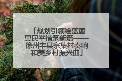 规划引领绘蓝图 惠民举措筑新篇——徐州丰县宗集村奏响和美乡村振兴曲