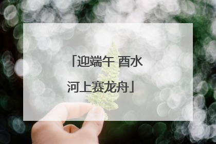 迎端午 酉水河上赛龙舟