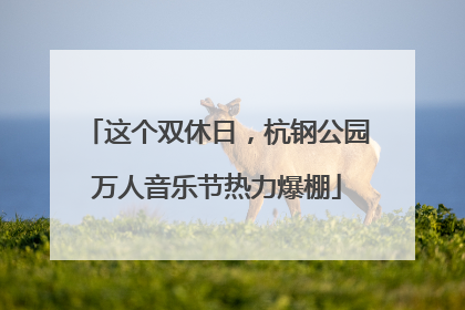 这个双休日，杭钢公园万人音乐节热力爆棚