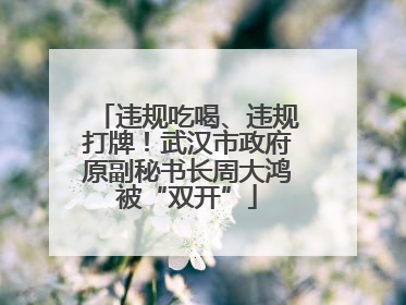 违规吃喝、违规打牌！武汉市政府原副秘书长周大鸿被“双开”