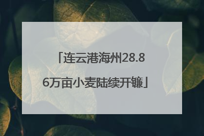 连云港海州28.86万亩小麦陆续开镰