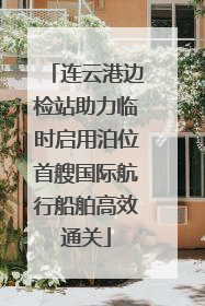 连云港边检站助力临时启用泊位首艘国际航行船舶高效通关